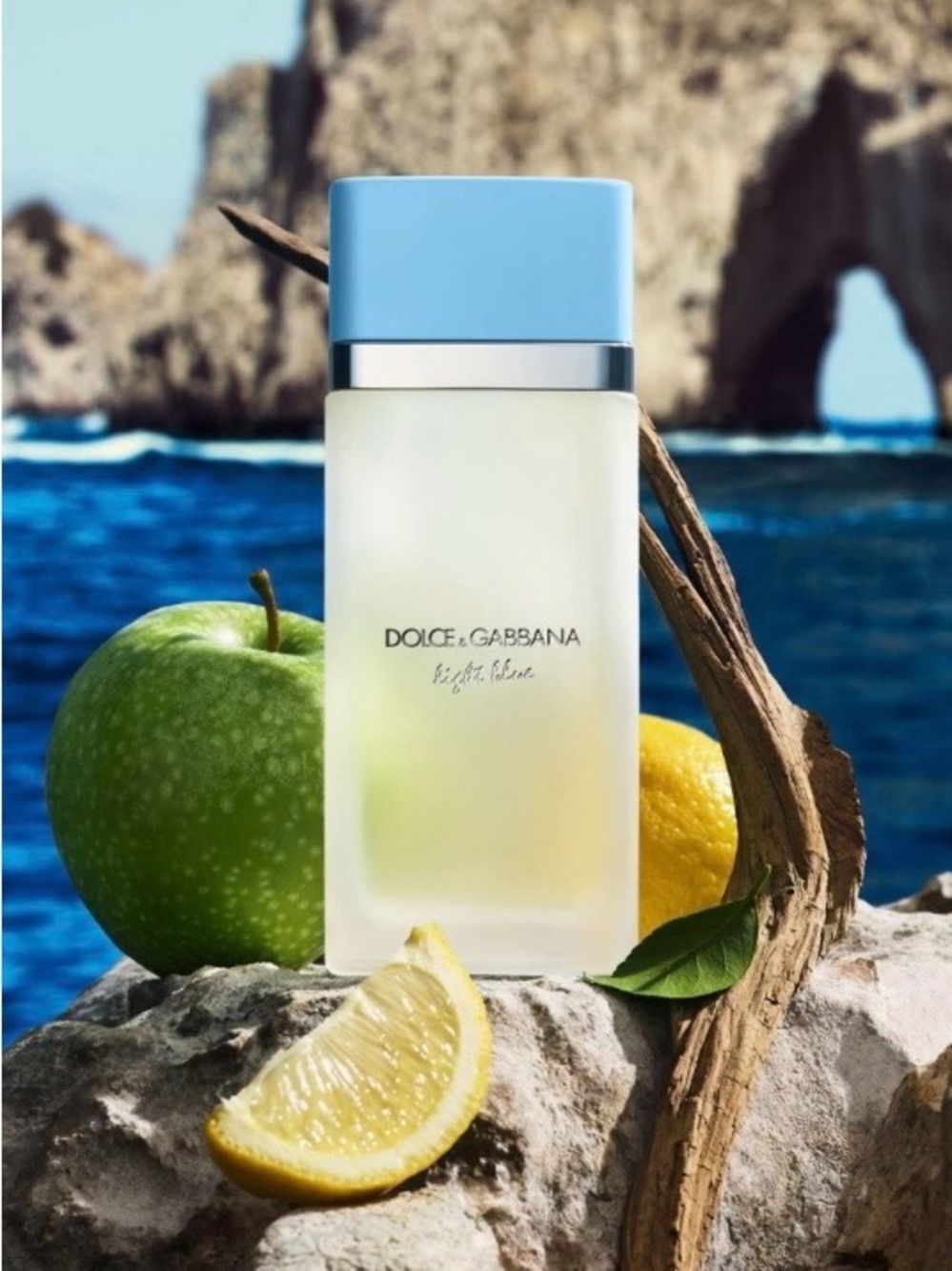 Dolce & Gabbana Light Blue EDT Spray 🍋 3.3 fl oz.